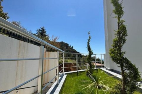 Villa  i Alanya, Antalya, Tyrkia Nr. 193306 - 25