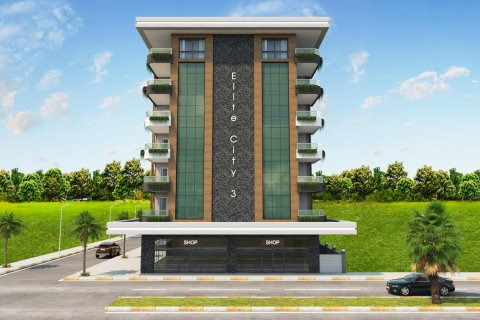 1+1 Wohnung  in Alanya, Antalya, Türkei Nr. 111614 - 2
