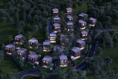 3+1 Villa i Istanbul, Tyrkiet Nr. 131217 - 2
