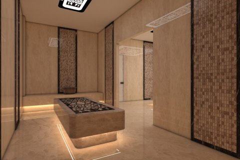 1+1 Lägenhet  i Gazipasa, Antalya, Turkiet Nr. 149705 - 29