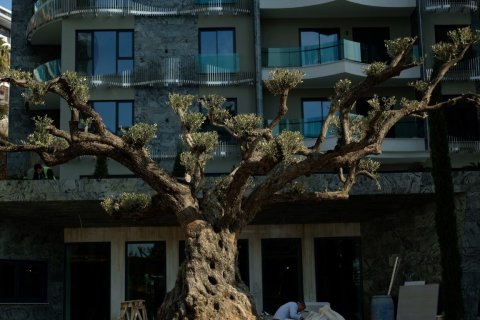 Apartment for sale in Tosmur, Alanya, Antalya, Turkey, 54m2, No. 189087 – photo 7