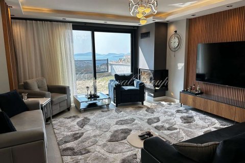 3+1 Villa  i Bodrum, Mugla, Turkiet Nr. 210508 - 2