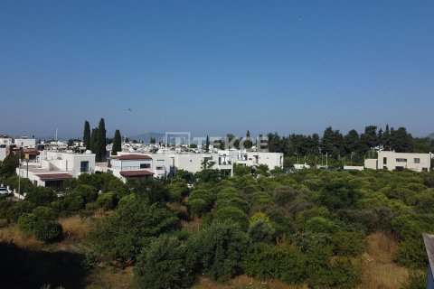 زمین در  Bodrum ، ترکیه 18000 متر مربع.  شماره 192452 - 4