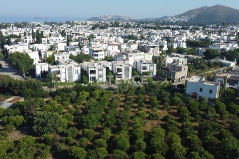 زمین در  Bodrum ، ترکیه 18000 متر مربع.  شماره 192452 - 3