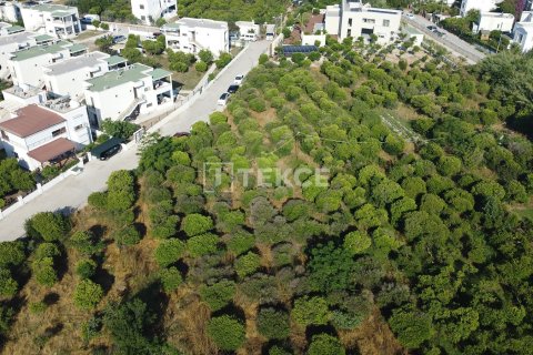 زمین در  Bodrum ، ترکیه 18000 متر مربع.  شماره 192452 - 2