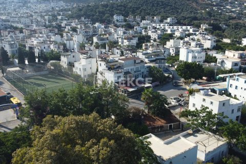 زمین در  Bodrum ، ترکیه 18000 متر مربع.  شماره 192452 - 7