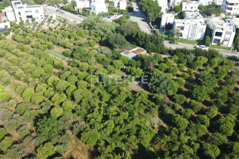 زمین در  Bodrum ، ترکیه 18000 متر مربع.  شماره 192452 - 5