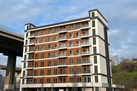 2+1 Wohnung  in Istanbul, Türkei Nr. 150084