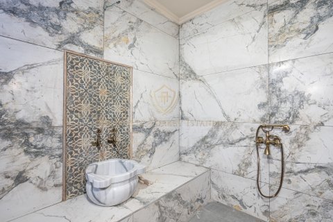 5+1 Villa  i Zekeriyakoy, Istanbul, Tyrkiet Nr. 147435 - 19