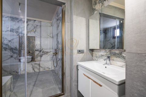 5+1 Villa  i Zekeriyakoy, Istanbul, Tyrkiet Nr. 147435 - 18