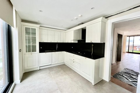 7+1 Villa  in Zekeriyakoy, Istanbul, Turkey No. 147436