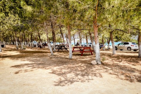 Продажа квартиры  в Фамагусте, Северный Кипр 3 комн., 79м2, №210574 – фото 13