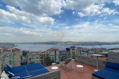 20+1 Wohnung  in Istanbul, Türkei Nr. 150745