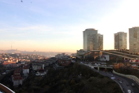 آپارتمان در  Istanbul ، ترکیه 4 خوابه ، 340 متر مربع.  شماره 150747 - 14