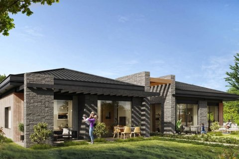 Dede i Ayas, ankara, Turkiet Nr.147624 - 7
