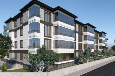 Safir Evleri 1 in Hendek, Sakarya, Turkey No.120495 – photo 2