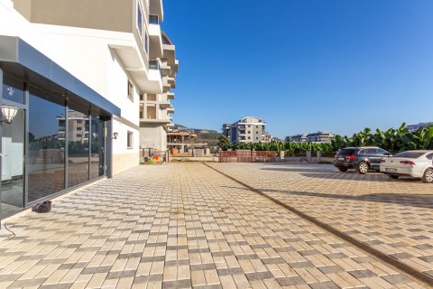1+1 Lejlighed  i Kargicak, Alanya, Antalya, Tyrkiet Nr. 115727 - 14