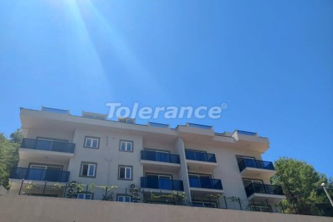 آپارتمان در  Fethiye ، ترکیه 1 خوابه ، 45 متر مربع.  شماره 132195 - 15