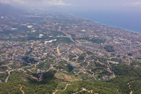 2+1 Lägenhet i Oba, Antalya, Turkiet Nr. 115327 - 10