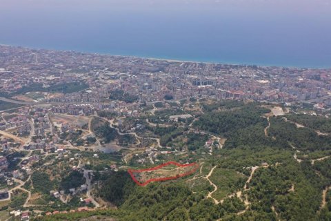 2+1 Lägenhet i Oba, Antalya, Turkiet Nr. 115327 - 9