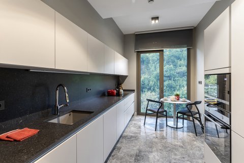 3+1 Leilighet i Istanbul, Tyrkia Nr. 147804 - 22