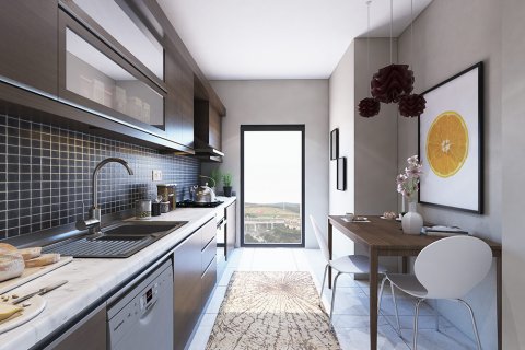 1+1 Lägenhet i Istanbul, istanbul, Turkiet Nr. 147801 - 16