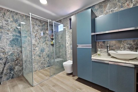 Villa i Alanya, Antalya, Turkiet Nr. 210247 - 24