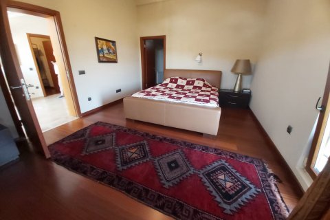 8+1 Villa i Istanbul, Tyrkia Nr. 131220 - 9