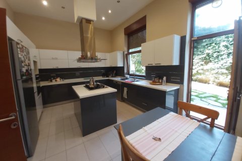 8+1 Villa i Istanbul, Tyrkia Nr. 131220 - 10