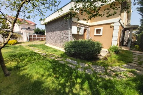 8+1 Villa in Istanbul, Turkey No. 131220