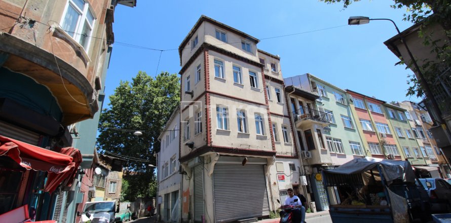 3+3 Villa i Istanbul, Tyrkia Nr. 120181