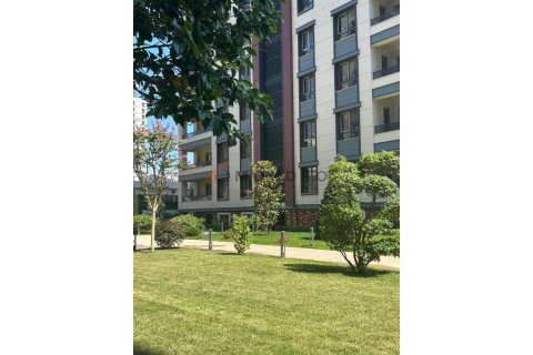 5+1 Wohnung  in Zeytinburnu, Istanbul, Türkei Nr. 152111 - 6