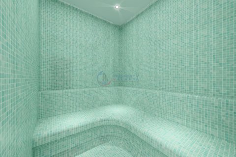 1+1 Wohnung  in Alanya, Antalya, Türkei Nr. 211538 - 25
