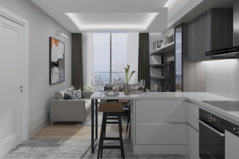 1+1 Leilighet i Istanbul, Tyrkia Nr. 147872 - 8