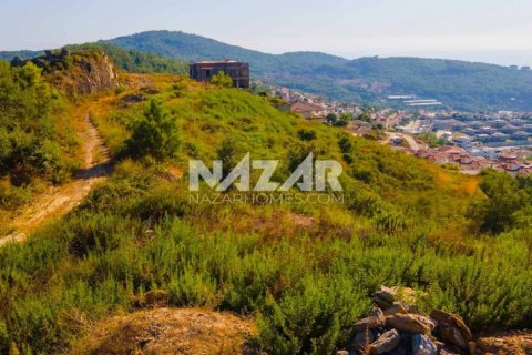Продажа квартиры  в Аланье, Анталье, Турция, 531м2, №190368 – фото 22