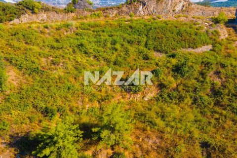 Apartment for sale in Alanya, Antalya, Turkey, 598m2, No. 190370 – photo 21