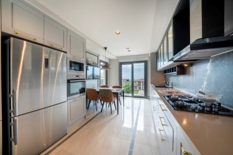Villa   Beylikdüzü, İstanbul, Türkiye №113519 - 12