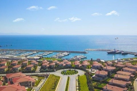 Villa   Beylikdüzü, İstanbul, Türkiye №113519 - 30