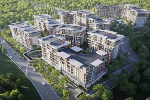 ZERAY GAZANIA LIFE 2  in Izmit, Kocaeli, Türkei Nr.142910 - 5