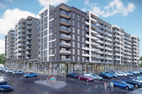 Bordo Prestij  i Ankara, Tyrkiet Nr.146240 - 5