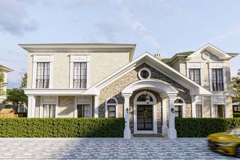Mavera Villalari  in Basaksehir, Istanbul, Turkey No.112852 – photo 4