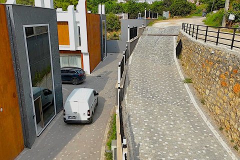 4+1 Villa  i Oba, Antalya, Tyrkia Nr. 47800 - 22