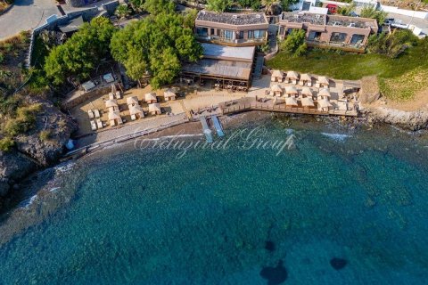 Hotell  i Bodrum, Mugla, Tyrkia Nr. 210513