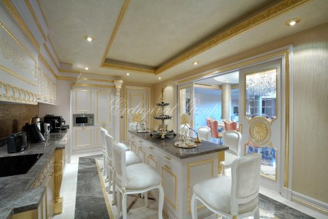 5+1 Villa i Bodrum, Mugla, Turkiet Nr. 210518 - 6