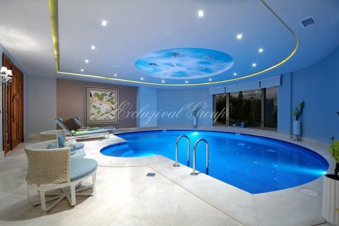 5+1 Villa i Bodrum, Mugla, Turkiet Nr. 210518 - 24