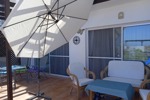 Продажа квартиры в Бахчели, Гирне, Северный Кипр 3 комн., 65м2, №210793 – фото 8