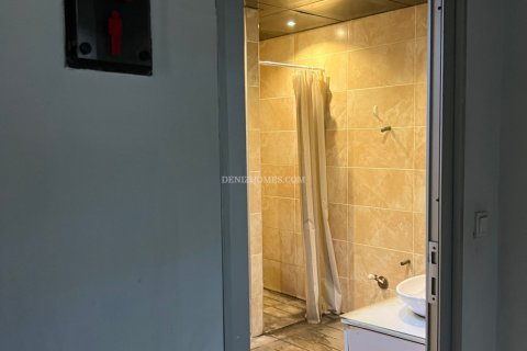 Villa i Denizli, Turkiet Nr. 134942 - 22