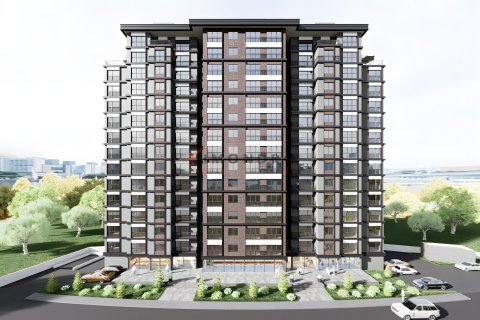 1+1 Apartment in Istanbul, Turkey No. 210238