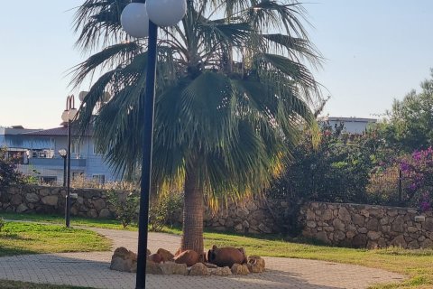 2+1 Lägenhet  i Alanya, Antalya, Turkiet Nr. 210242 - 3