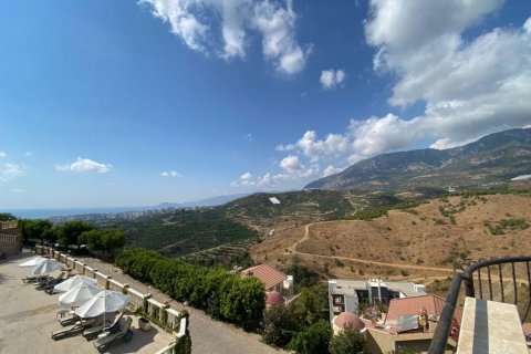 Daire   Kargıcak, Alanya, Antalya, Türkiye №210256 - 27